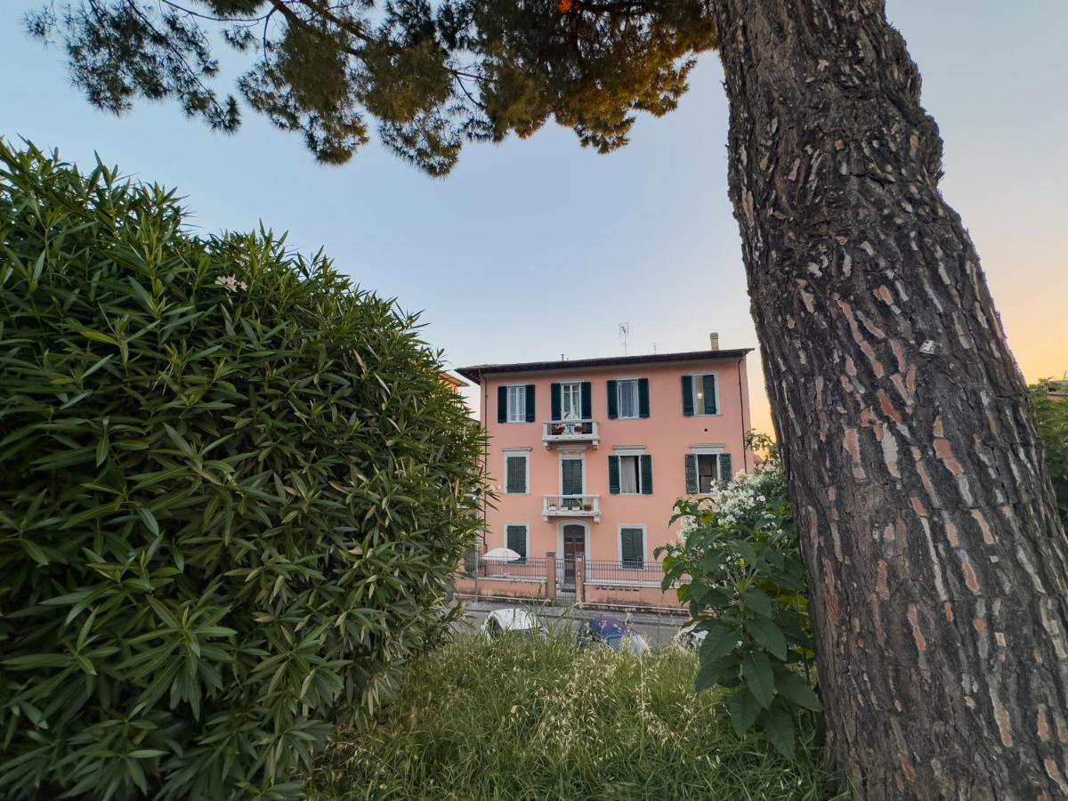 La Casa Di Eli Appartamenti Pisa Buitenkant foto